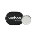 CR A WAHOO WFPODCAD2_1.jpg