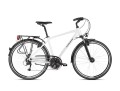Kross Rower Trans 4.0 28 PEA BLK 2021.jpg