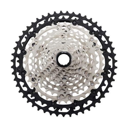 large (10).png