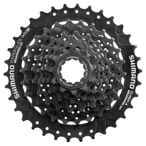 large (17).png