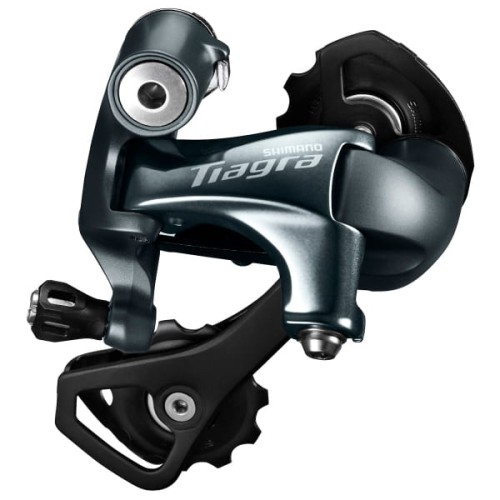large (19).png